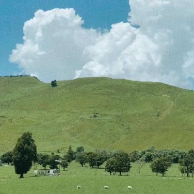 狗万manbet手机app下载