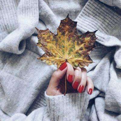 管家婆期期四肖四码中特管家