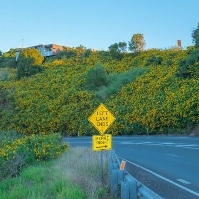 BOB彩票·(中国)平台APP下载