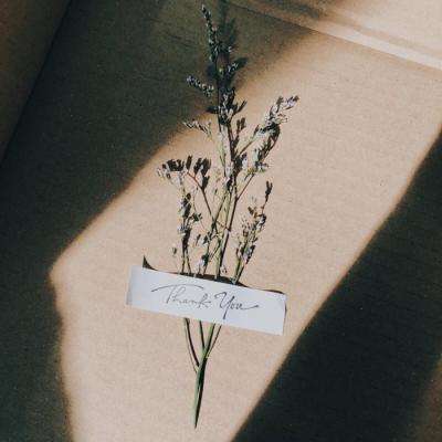 乐鱼(中国)官方网站