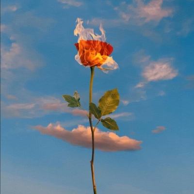 万博全站APP最新版