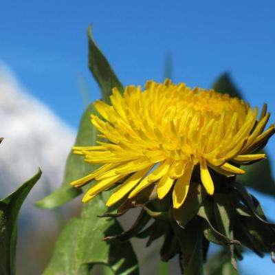 皇冠体育HG2022App