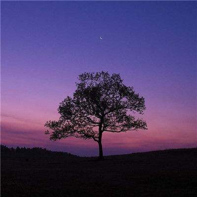 pg娱乐电子游戏官网官方入口