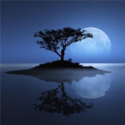 安博体育app官方下载入口