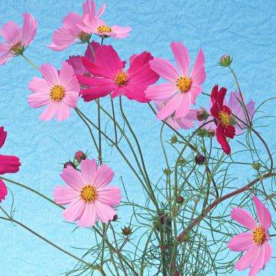 爱游戏全站手机app下载