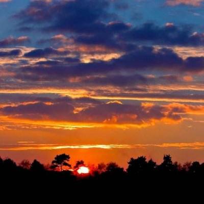 乐发app最新版下载